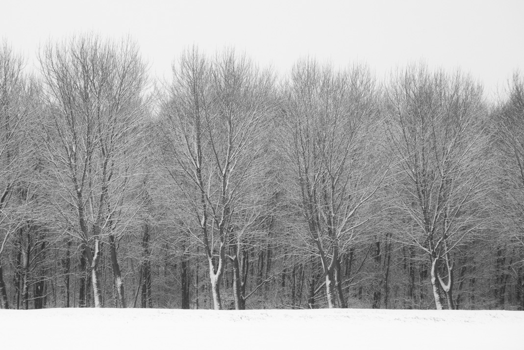 Dobbeplas covered in snow 06.jpg